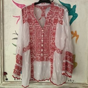 Johnny Was gorgeous sheer top